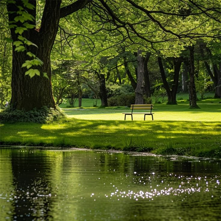 Best picnic spots near our holiday lets