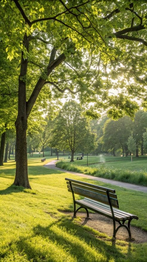 Best picnic spots near our holiday lets