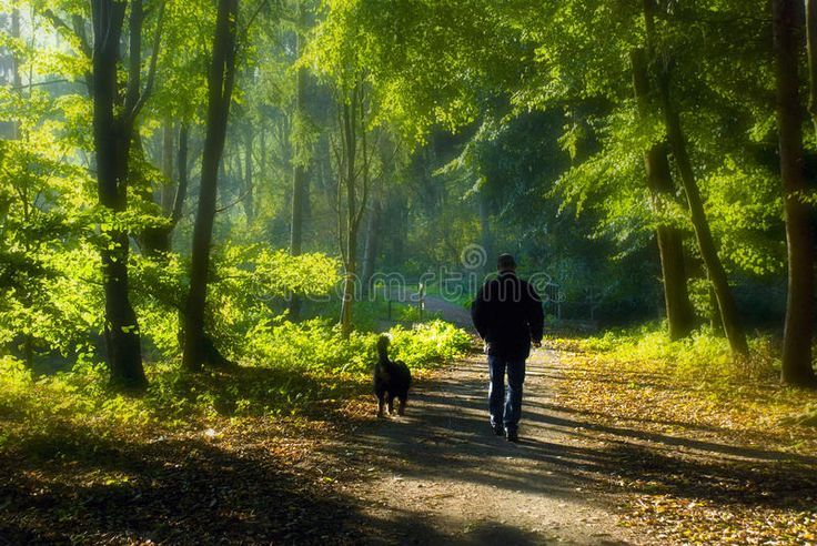 coastal walks from Bridlington