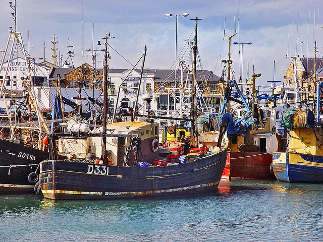 Bridlington harbour walks and boat trips