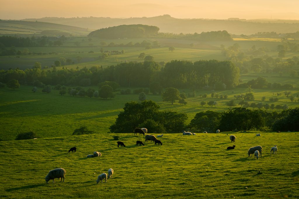 Exploring Yorkshire with Family